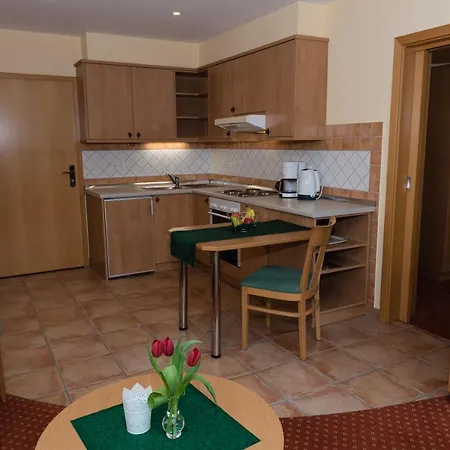 Apartamento Appartementhaus Steiger